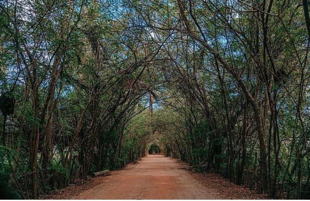 Maré Suítes Patacho Pôrto de Pedras Extérieur photo